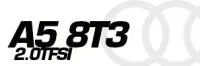 A5 8T3 2.0TFSI