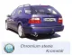 Simons Système d'échappement sport en acier chromé 90/120 mm ovale pour SAAB 9-5 Turbo 2.0/2.3 Berline/Break Pour les modèles sans ouverture dans la jupe arrière